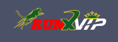 Discover the World of Online Gaming with Runx Bet Discover the World of Online Gaming with Runx Bet
